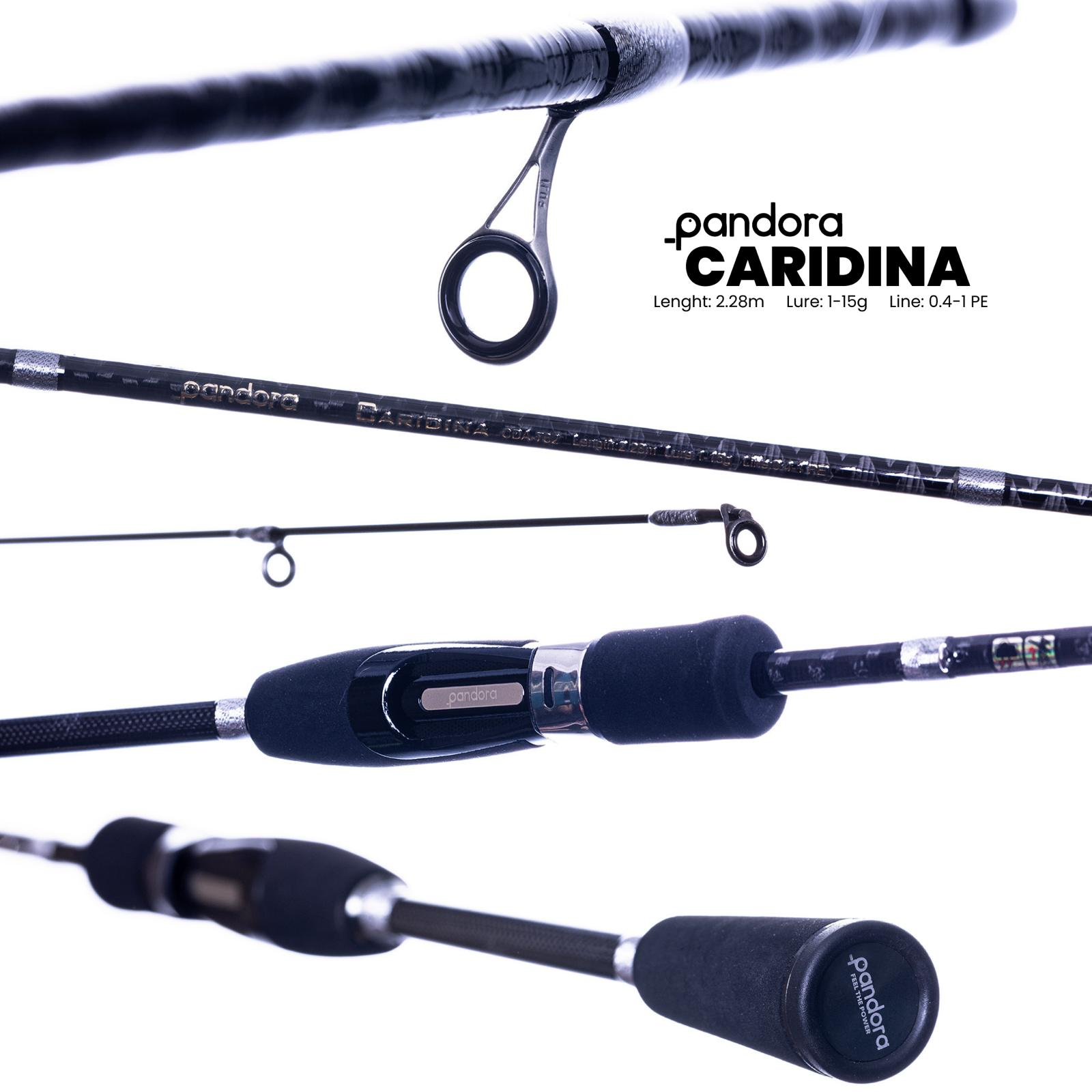 Pandora Caridina 228cm 1-15gr Olta Kamışı