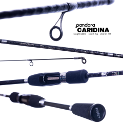 Pandora Caridina 228cm 1-15gr Olta Kamışı