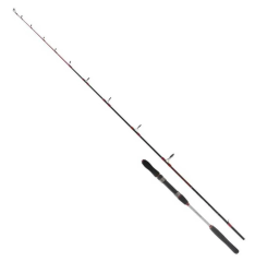 Ryuji Searider 180cm 60-180gr 2P Bot ve Jig Kamışı