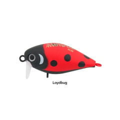 Hanfish Kunduz KG 3.8 Cm 4 Gr Ladybug